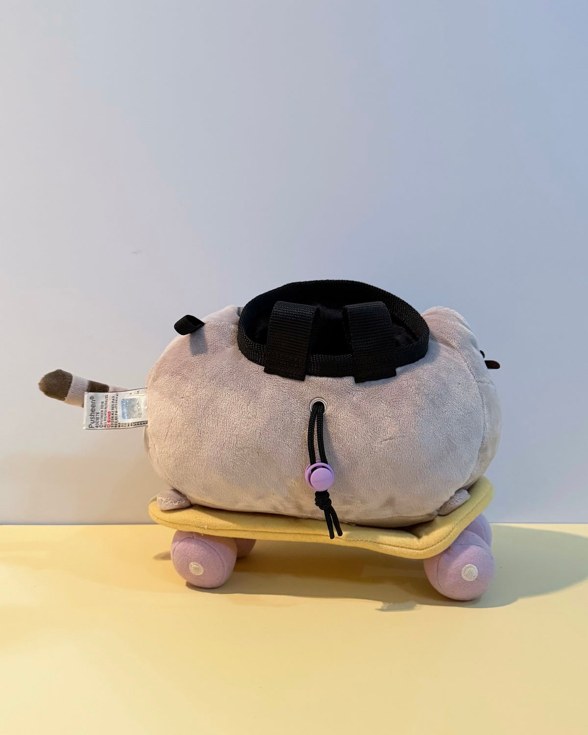 Skateboard Pusheen chalk bag