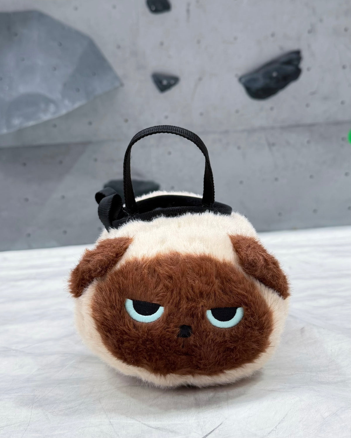 Siamese Cat bouldering bag