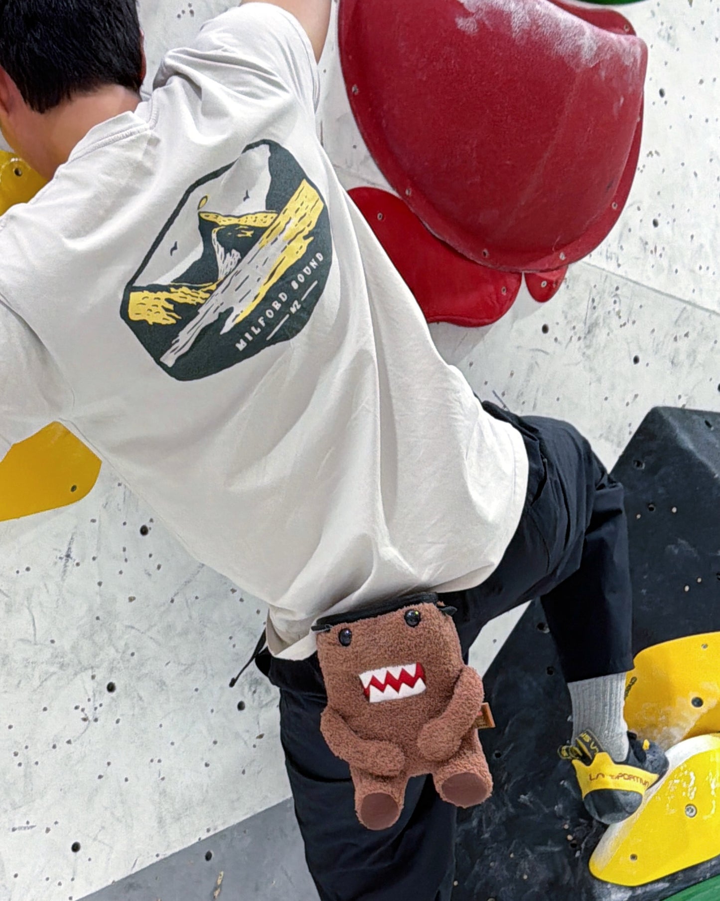 Domo chalk bag