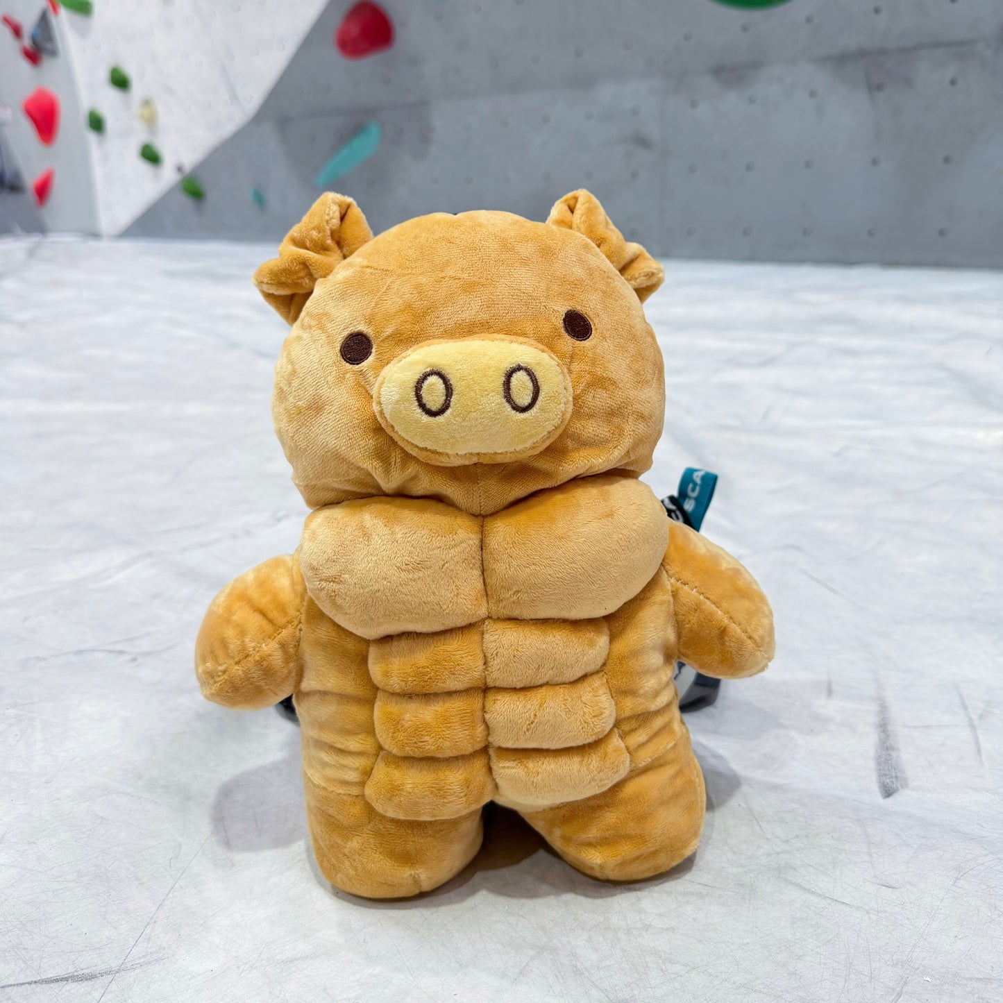 Muscle Pig chalk bag