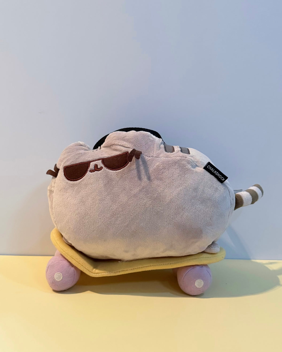 Skateboard Pusheen chalk bag