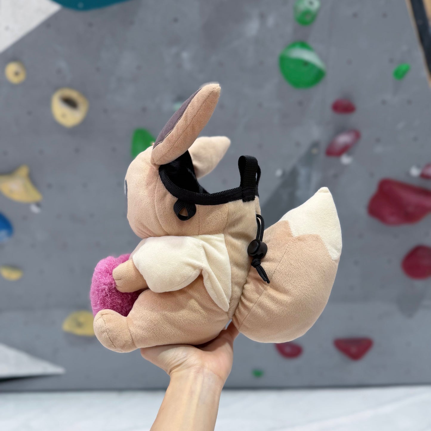 Eevee chalk bag