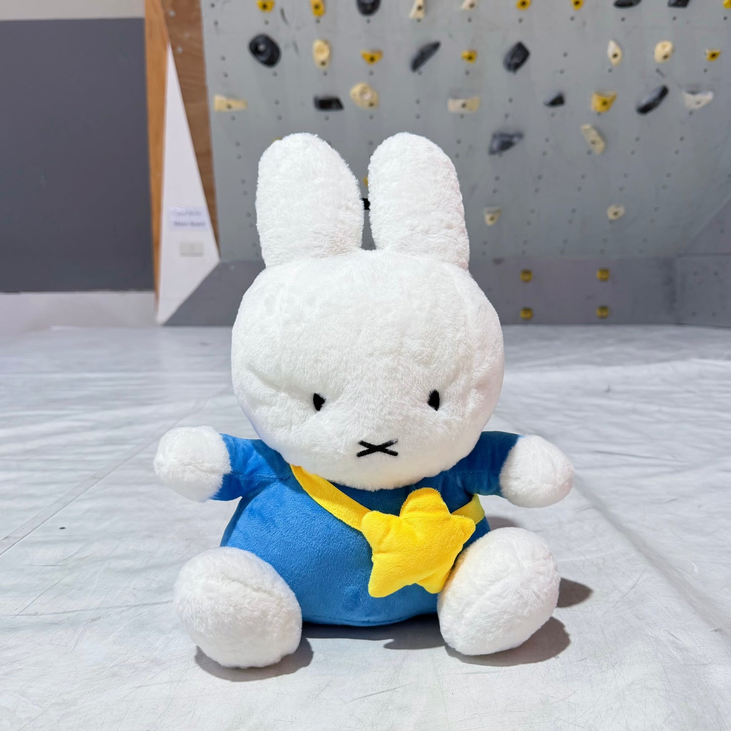 Bunny Bouldering Bag