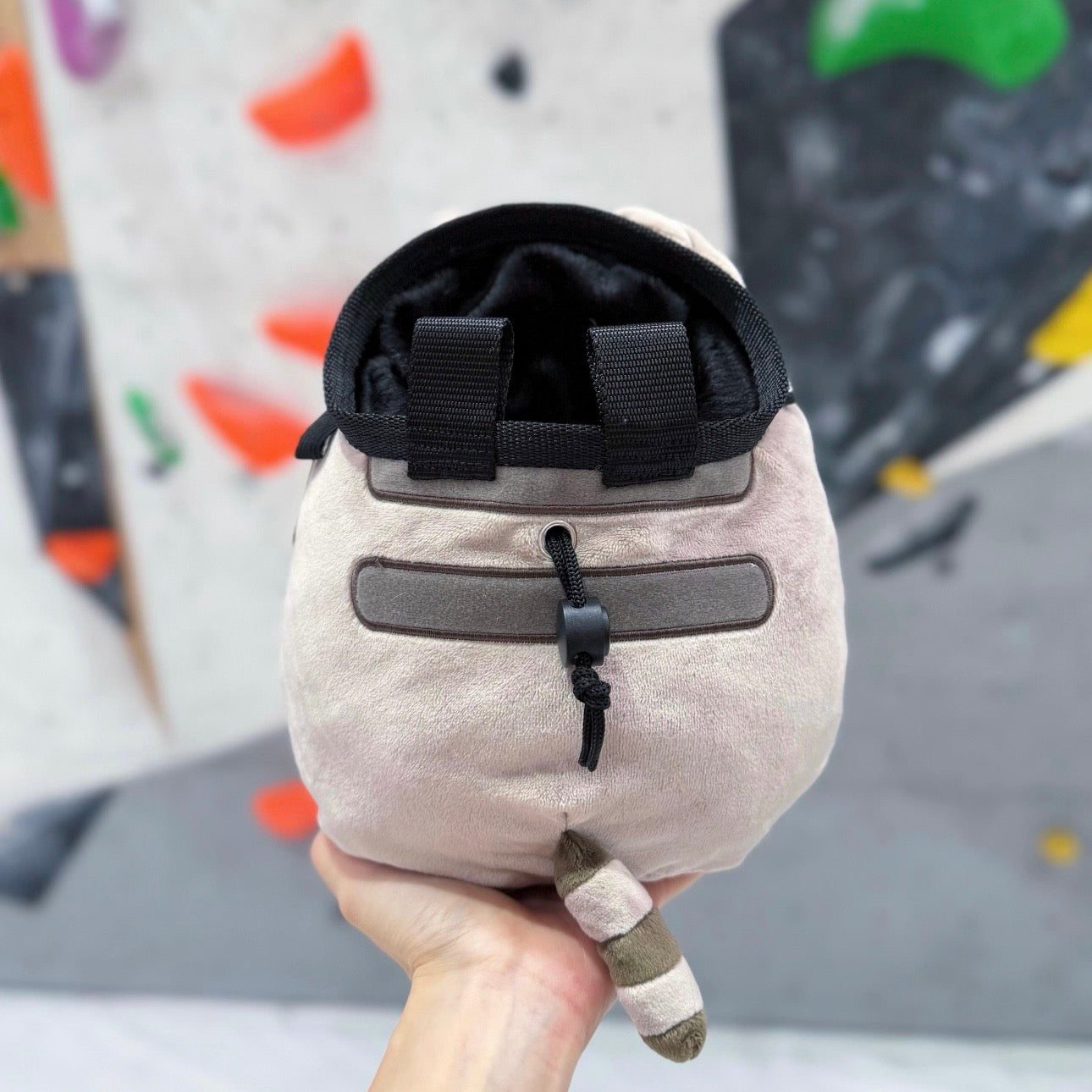 Sushi Pusheen chalk bag