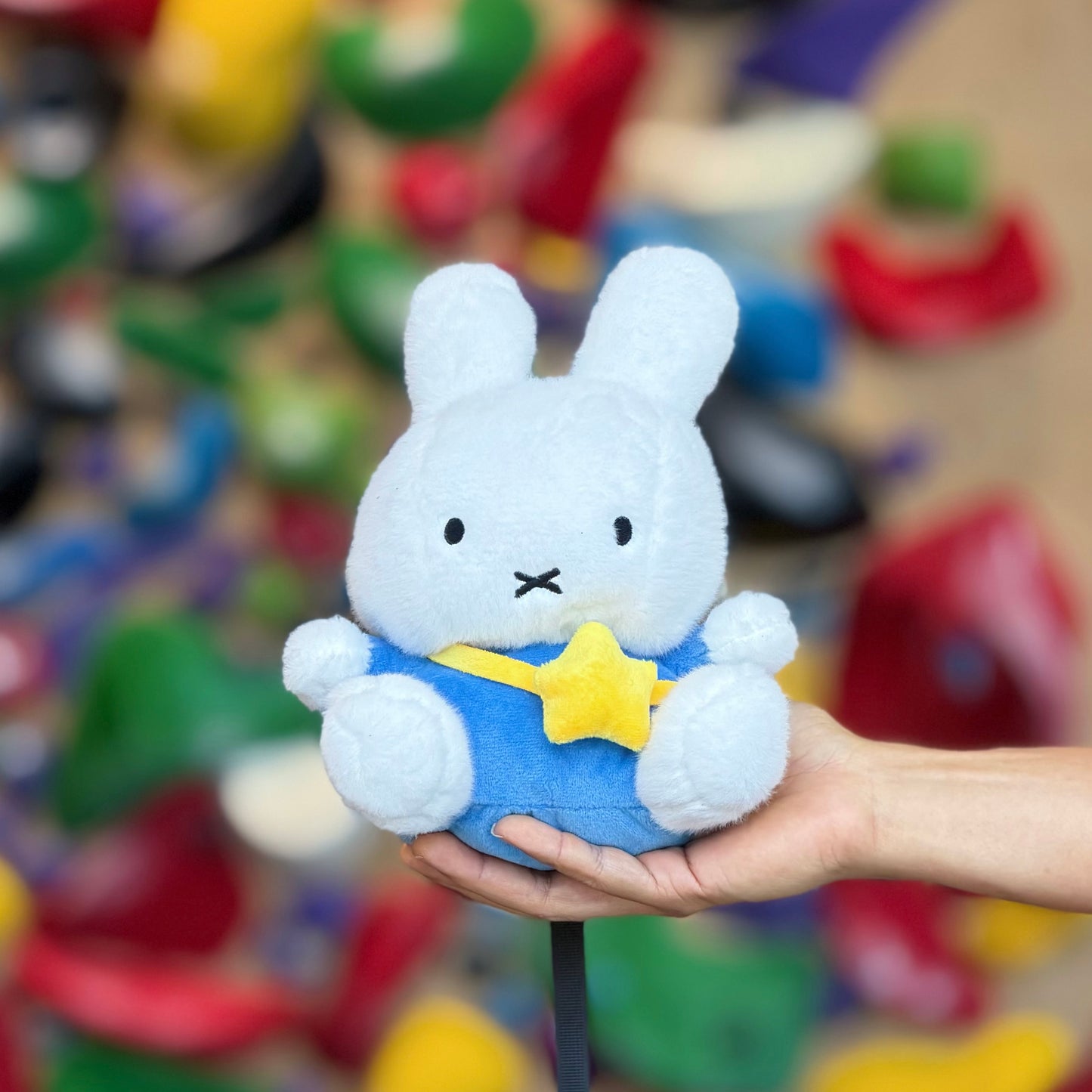 Bunny Chalk bag