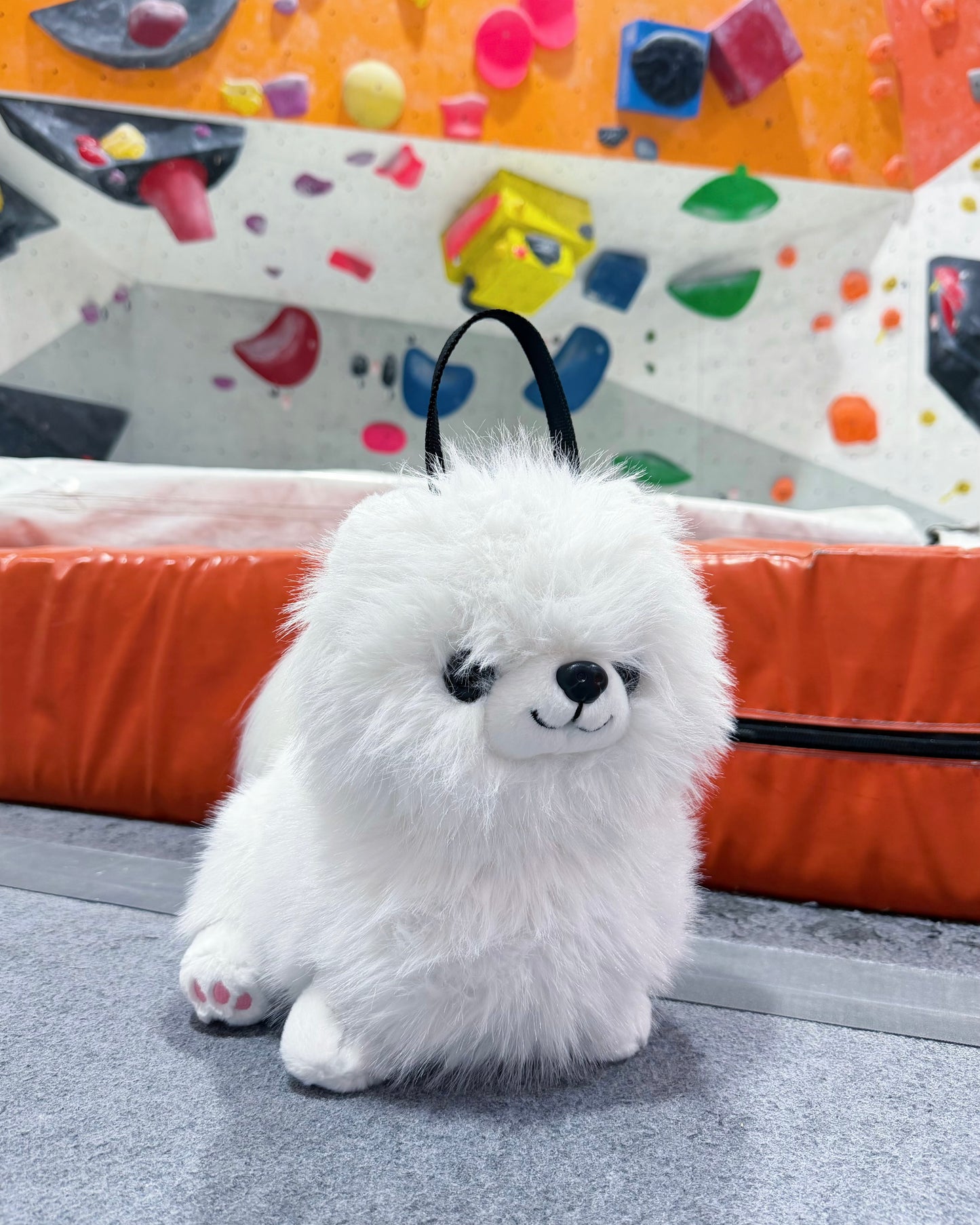 Pomeranian Bouldering Bag : White