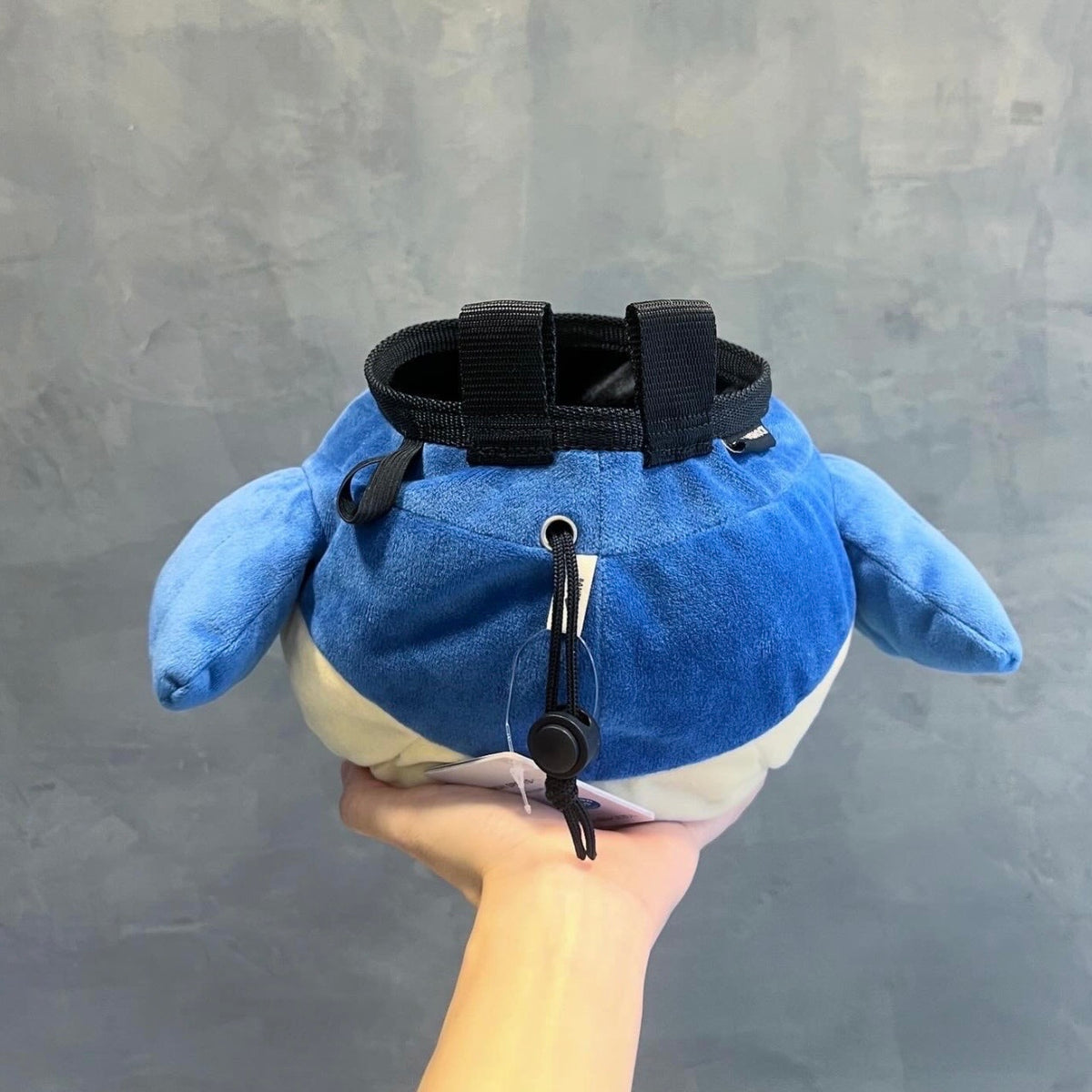 Limited Edition: Wailmer chalk bag