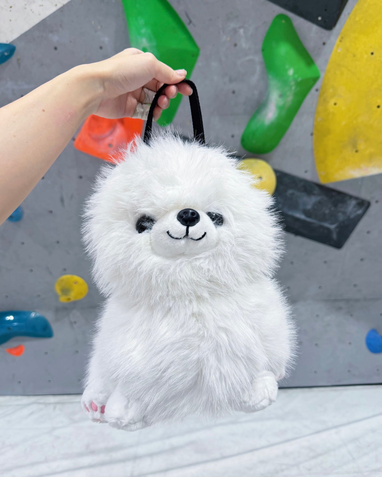 Pomeranian Bouldering Bag : White