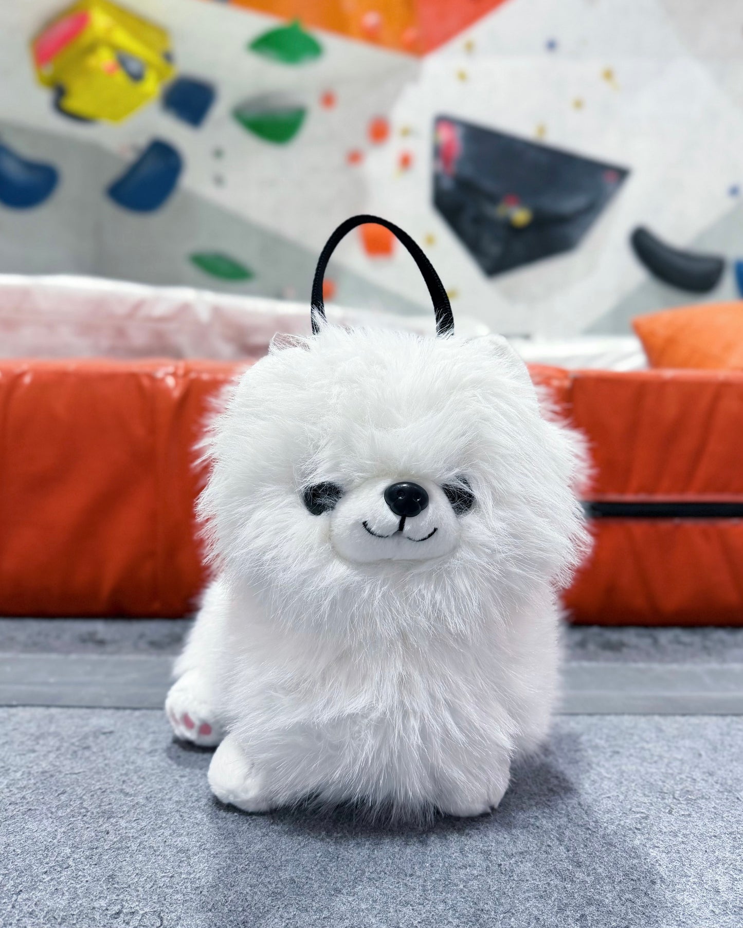 Pomeranian Bouldering Bag : White