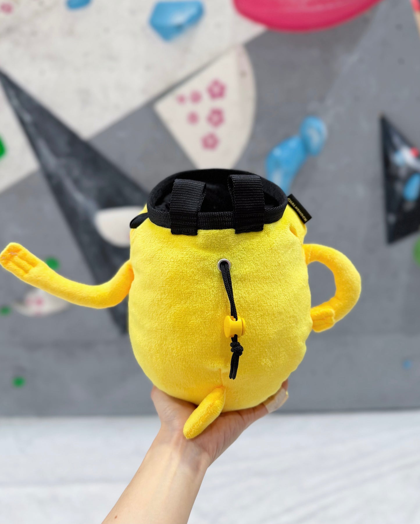 Jake Chalk bag