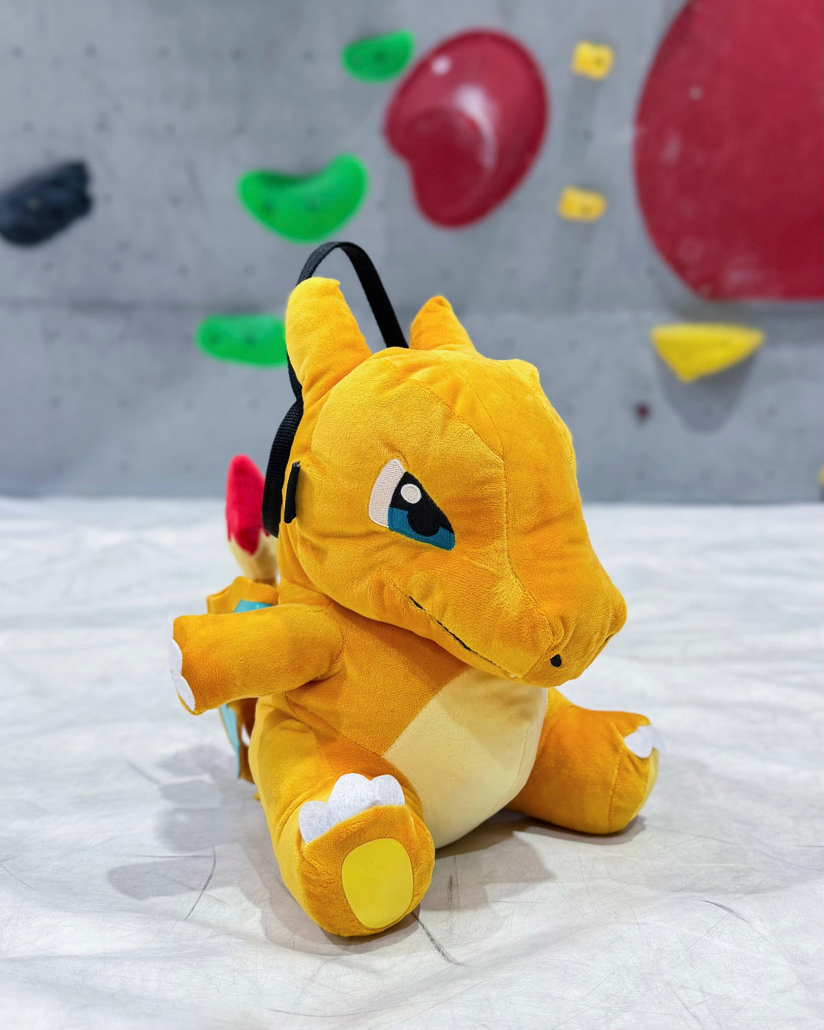 Charizard chalk bag / Bouldering Bag