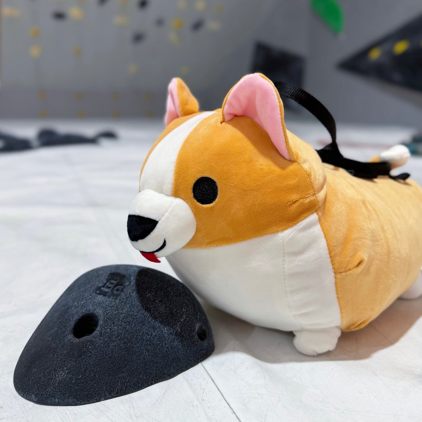Corgi Bouldering bag / Chalk bag