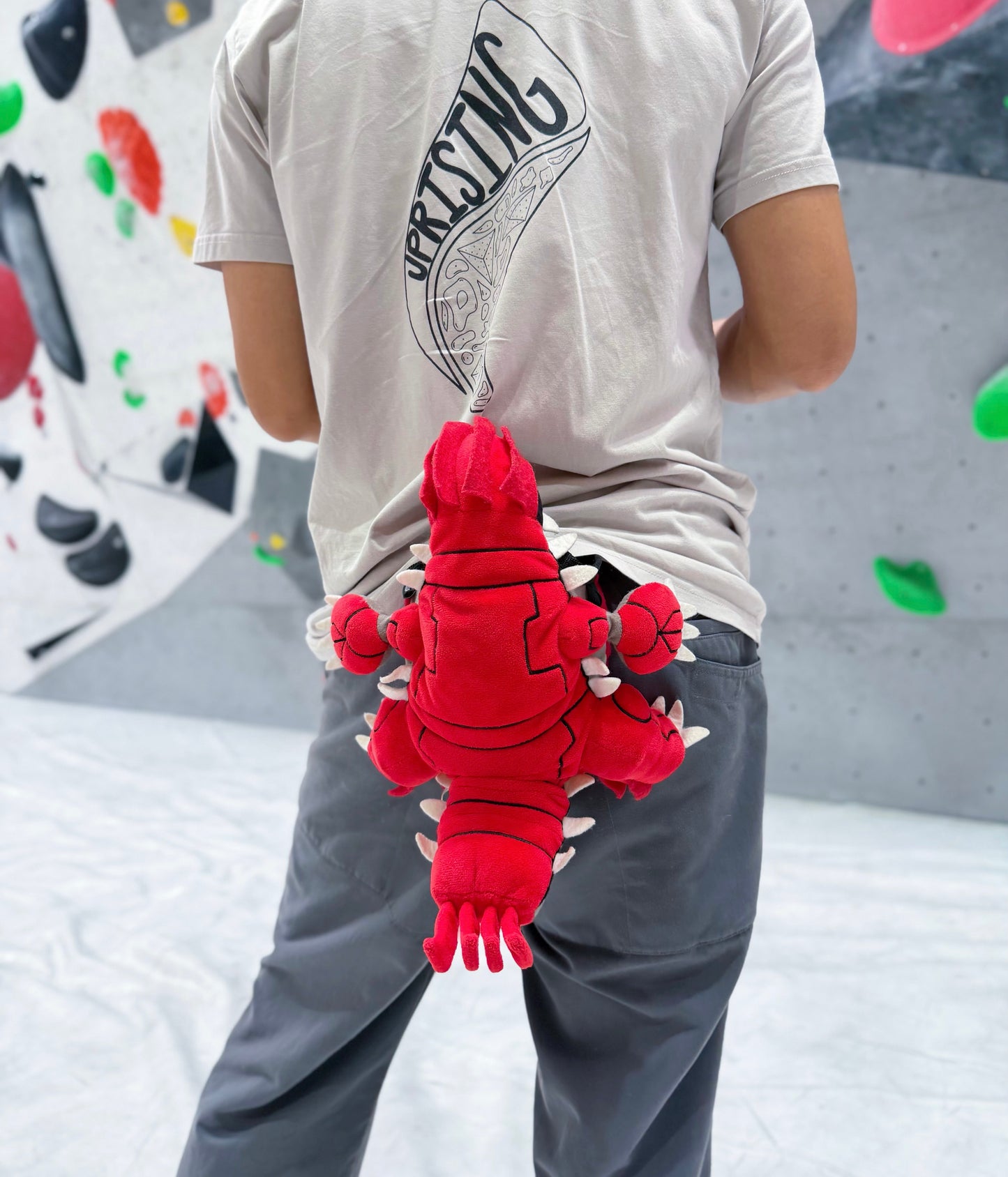 Groudon chalk bag : Limited Edition