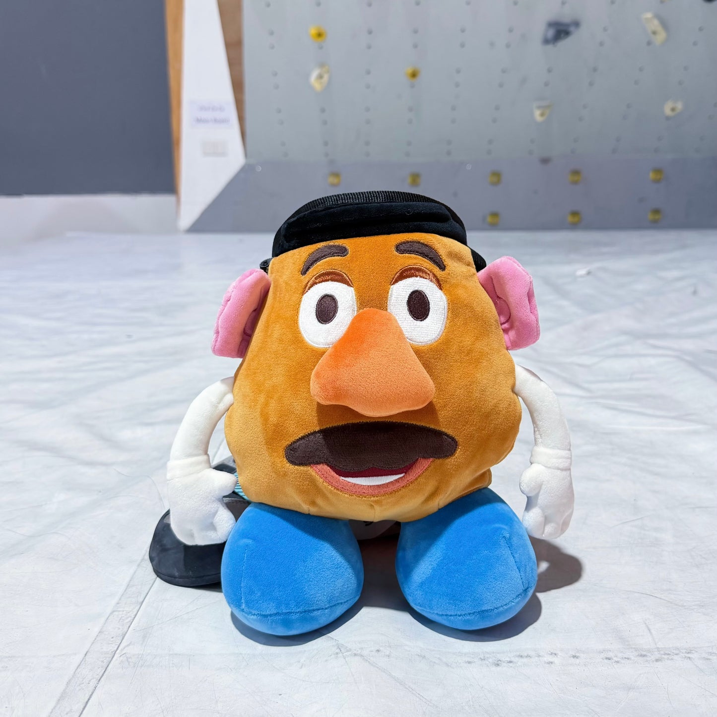 Mr. Potato Chalk Bag
