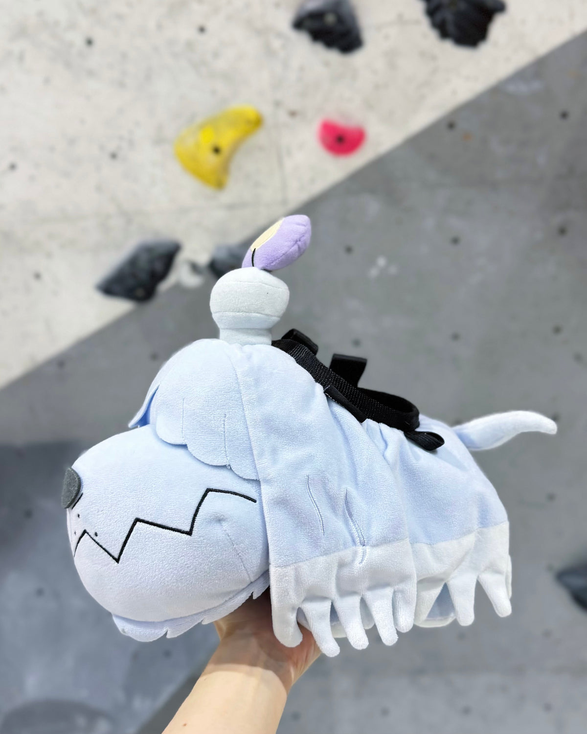 Greavard Chalk bag : Limited Edition