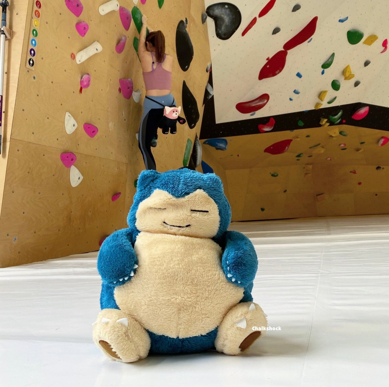 Fluffy Snorlax bouldering bag