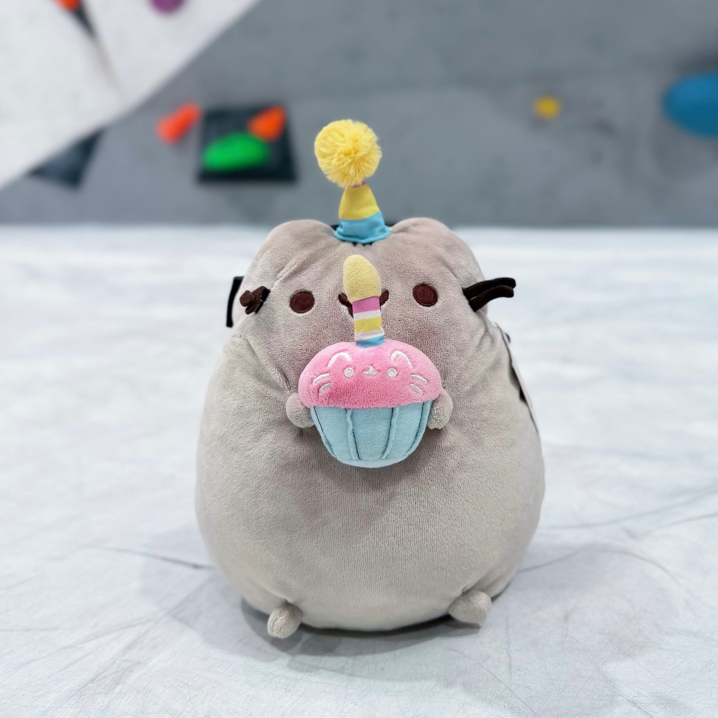 Pusheen & Cupcake chalk bag