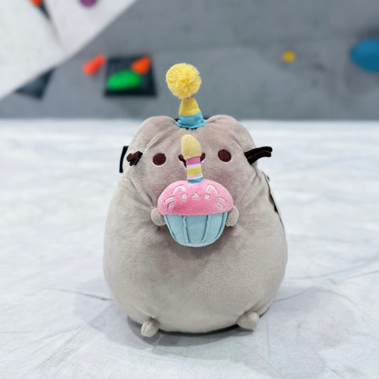 Pusheen & Cupcake chalk bag