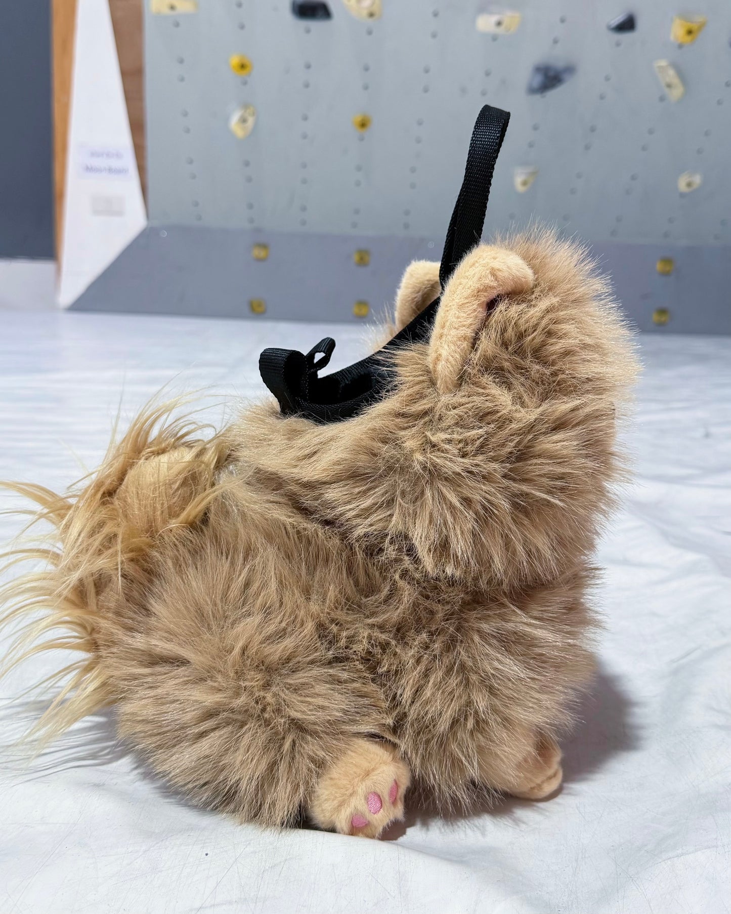 Pomeranian Bouldering Bag : Brown