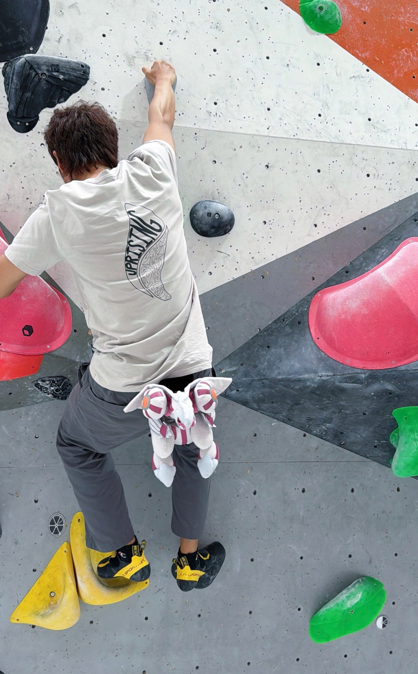Palkia chalk bag : Limited Edition