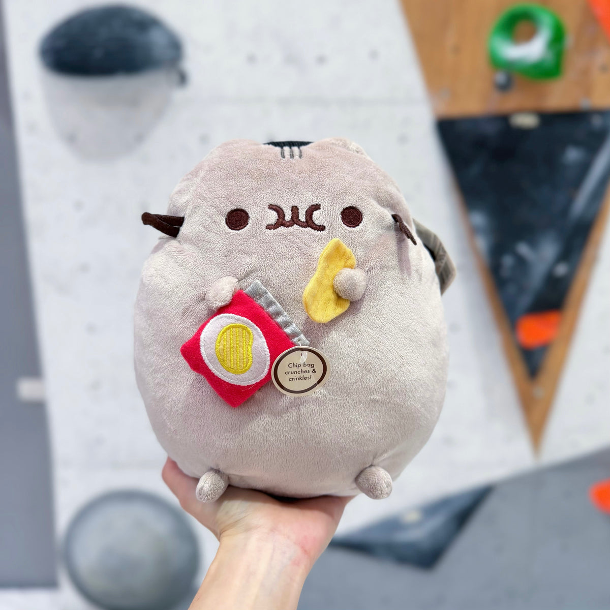 Pusheen & Chips chalk bag