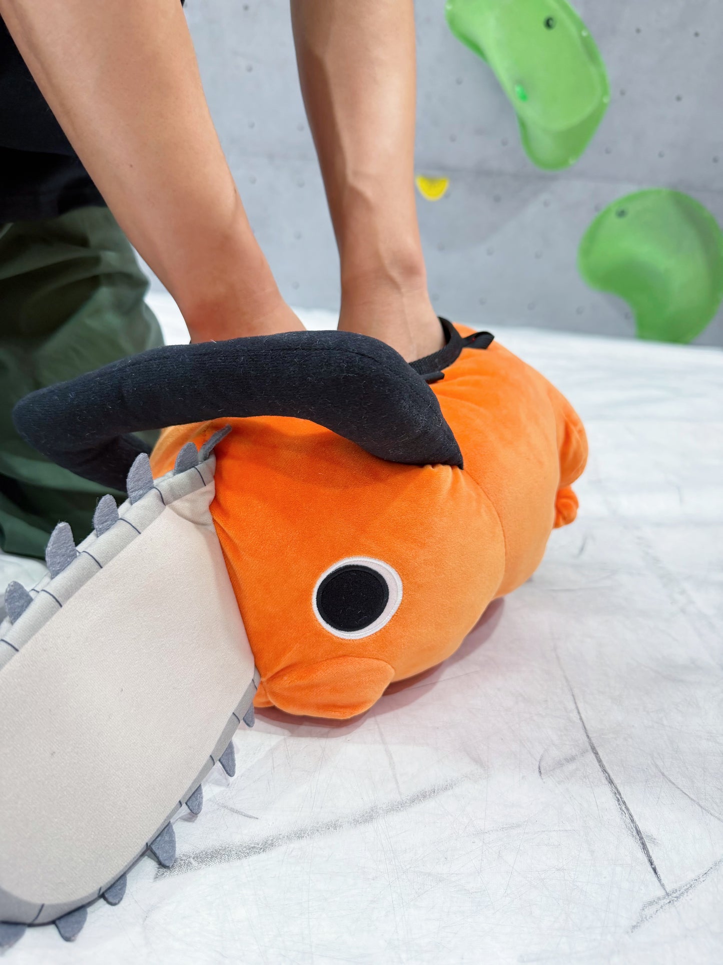 Pt bouldering bag