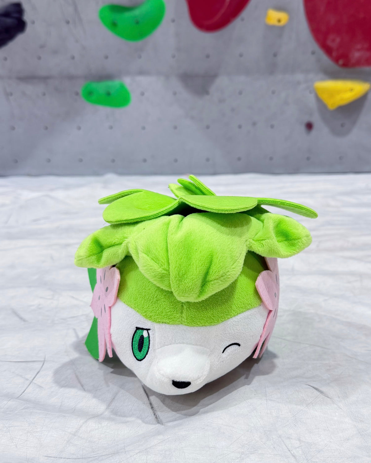 Shaymin Chalk bag