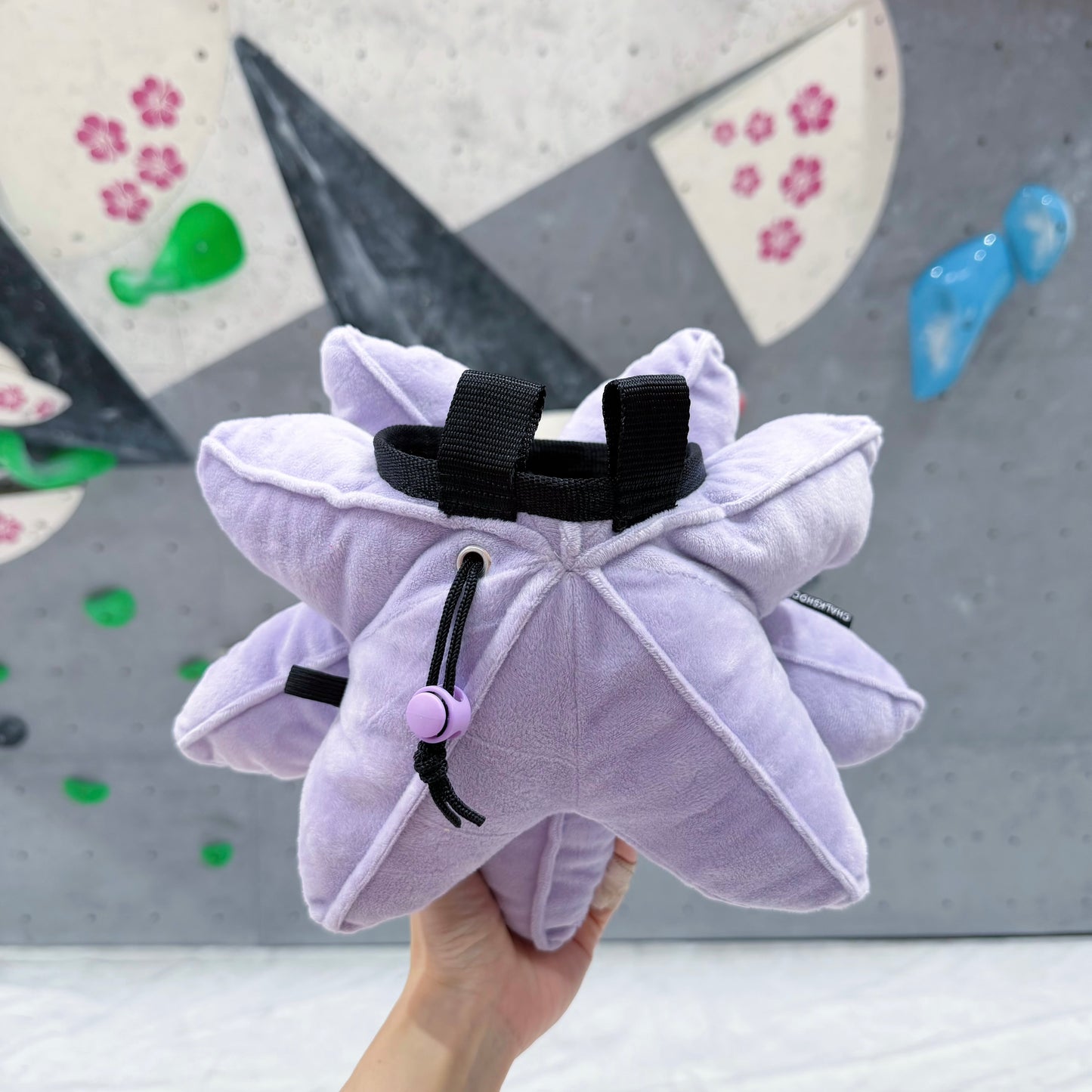 Starmie chalk bag