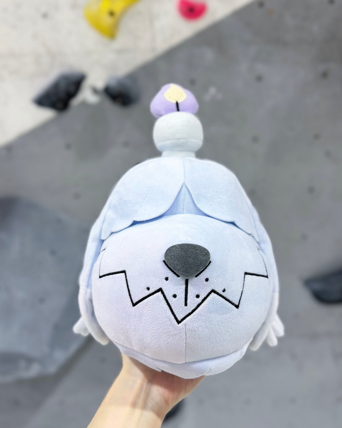 Greavard Chalk bag : Limited Edition