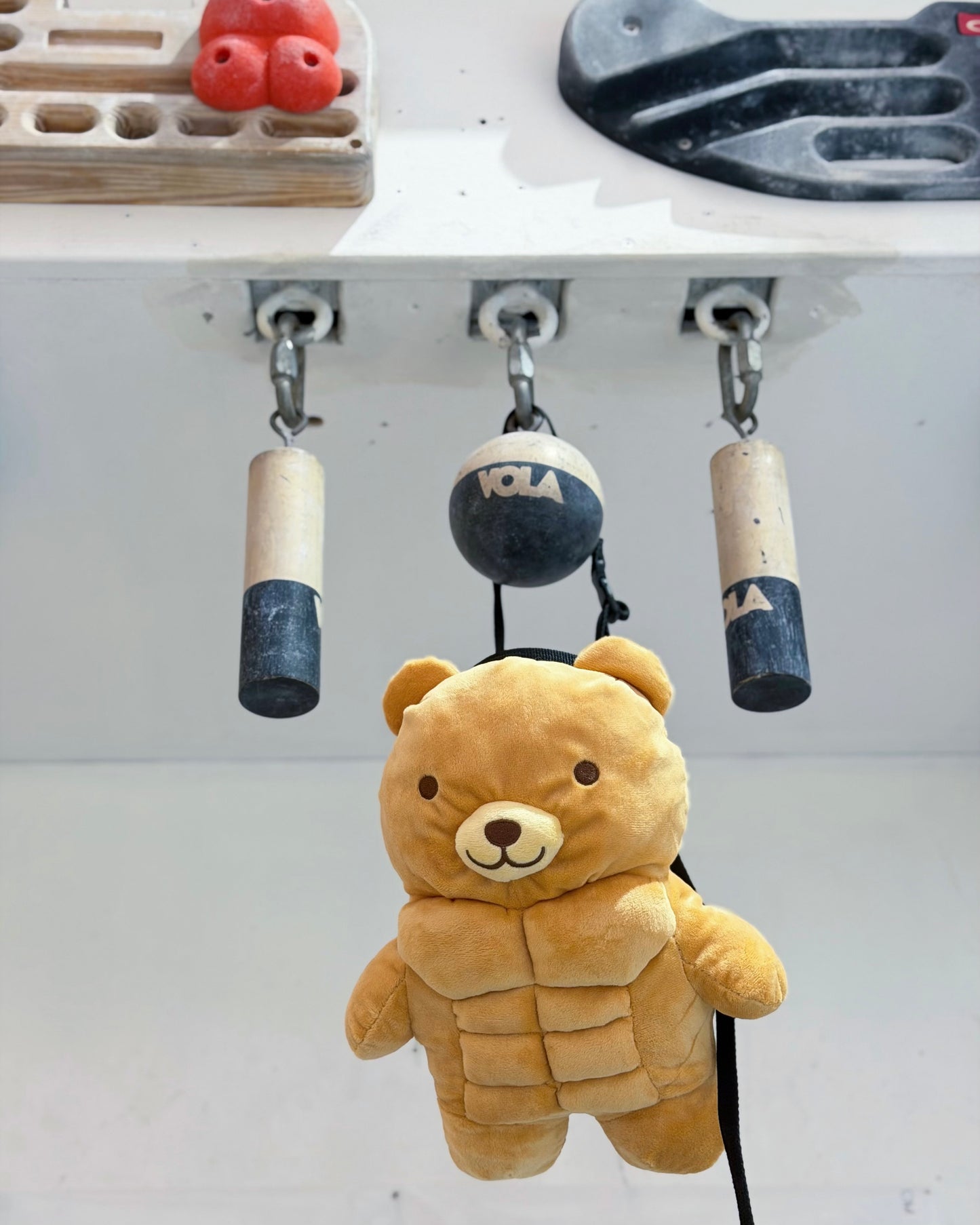 Muscle Bear chalk bag