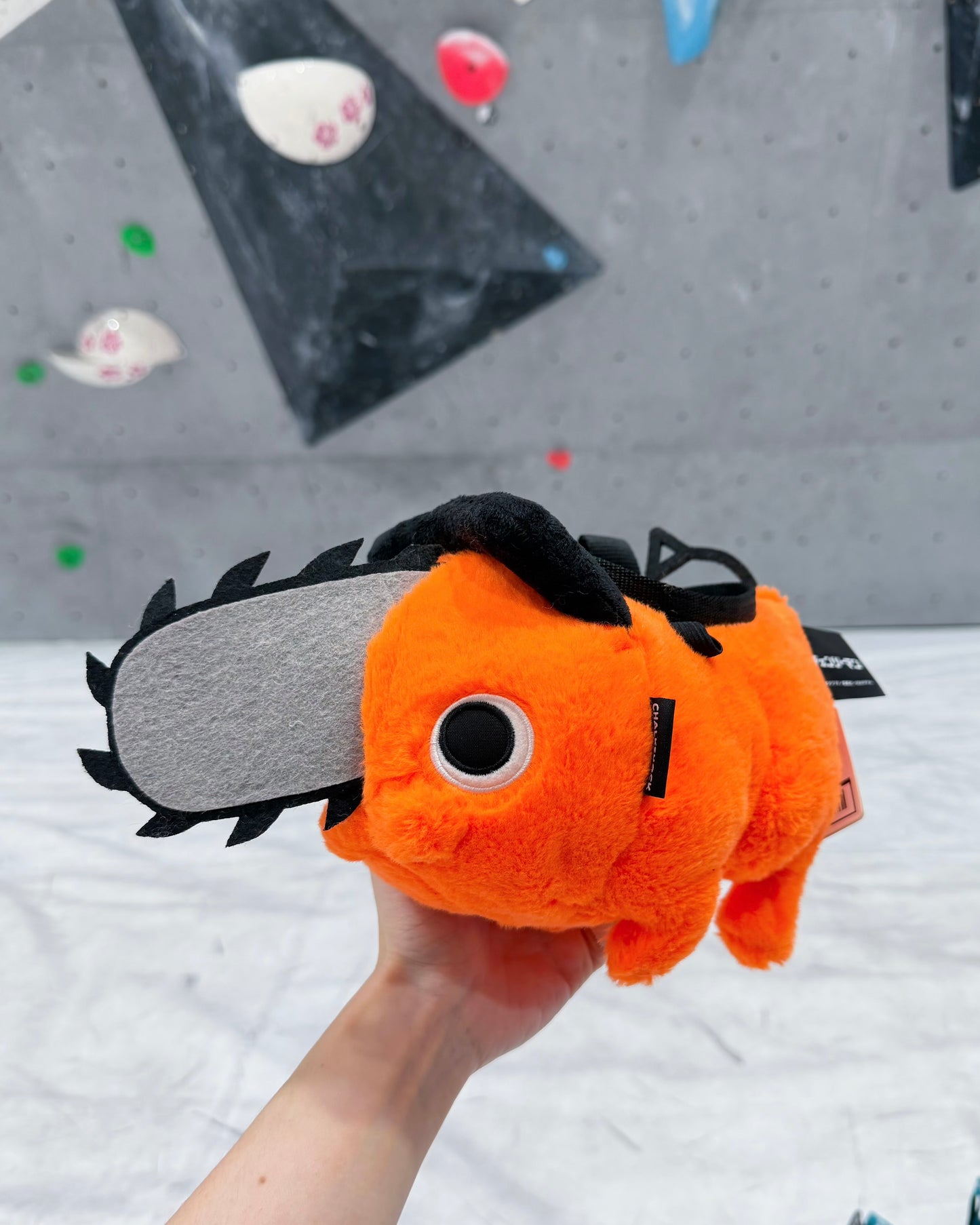 Pt chalk bag : Limited Edition
