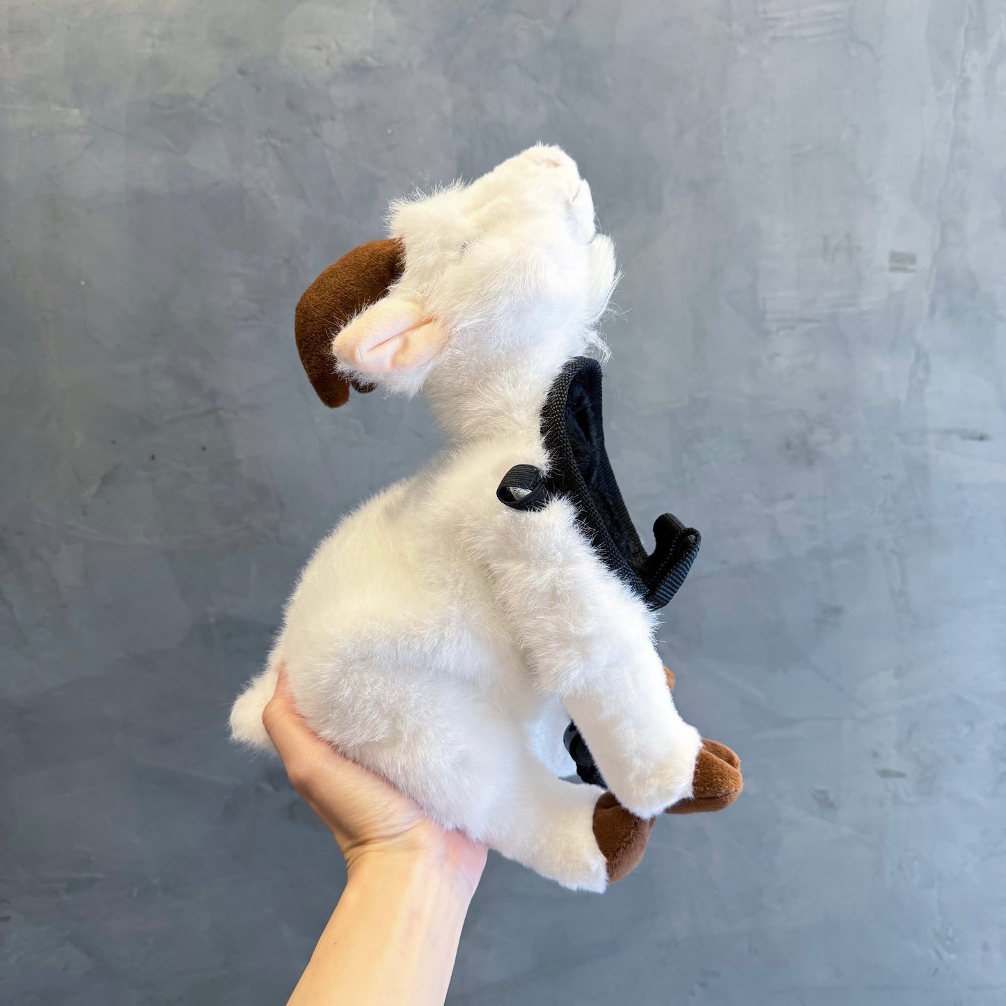 The Goat chalk bag