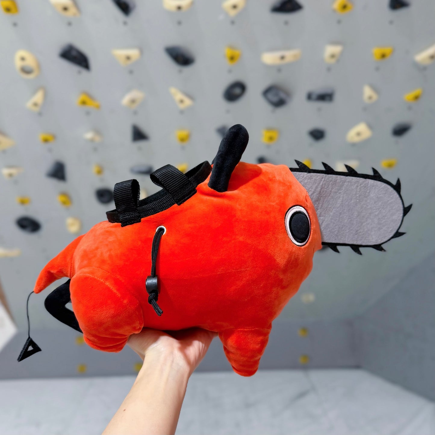 Pt bouldering bag : Limited Edition