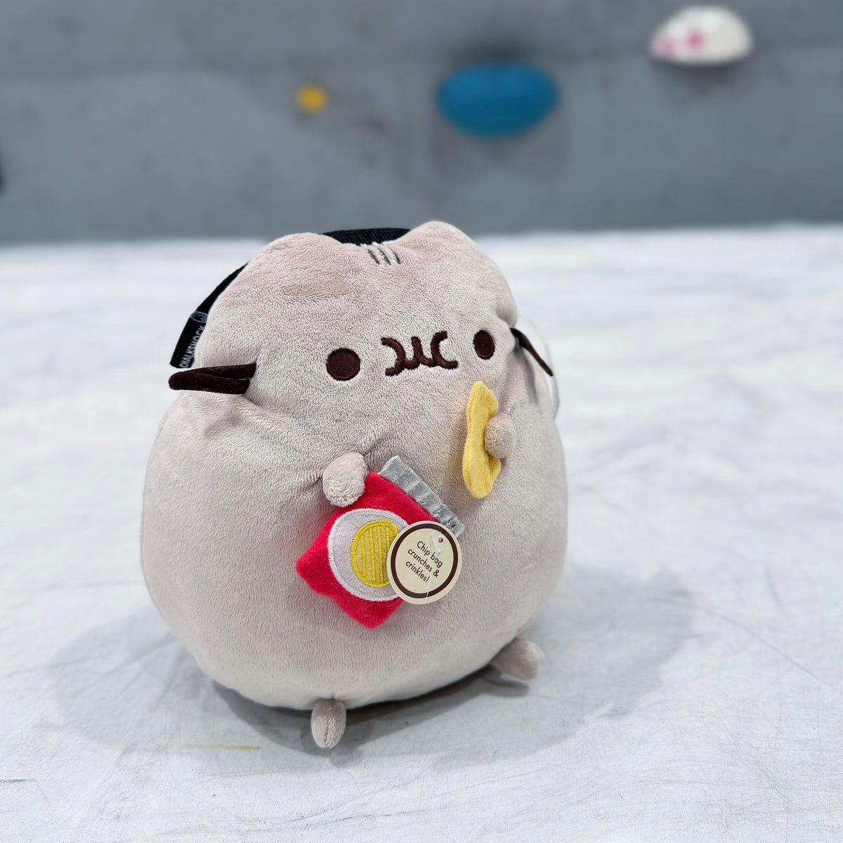 Pusheen & Chips chalk bag