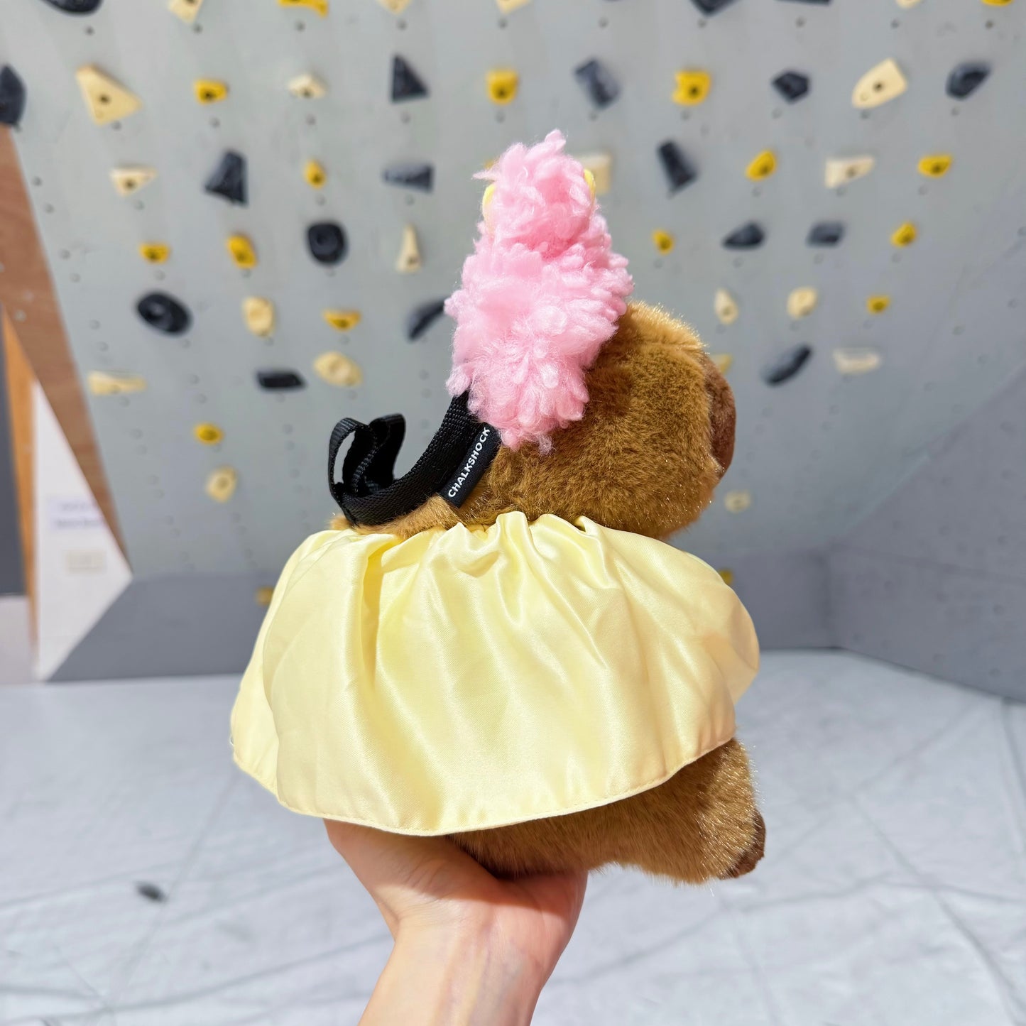 Capybara Madam chalk bag