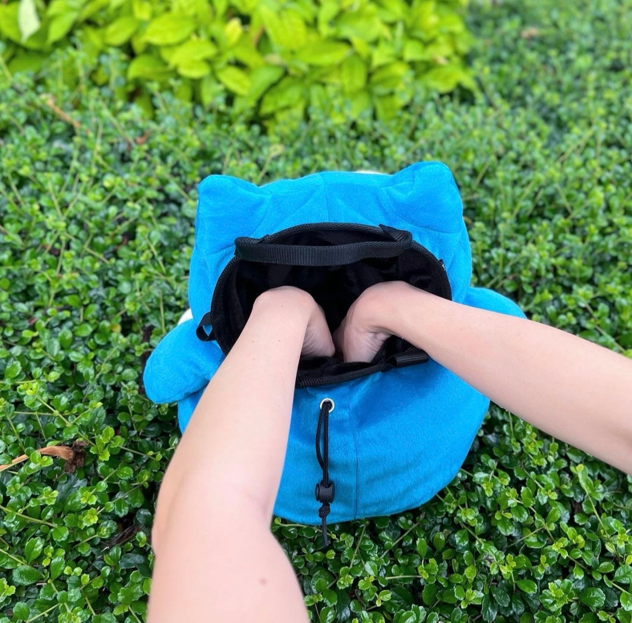 Snorlax Bouldering Bag