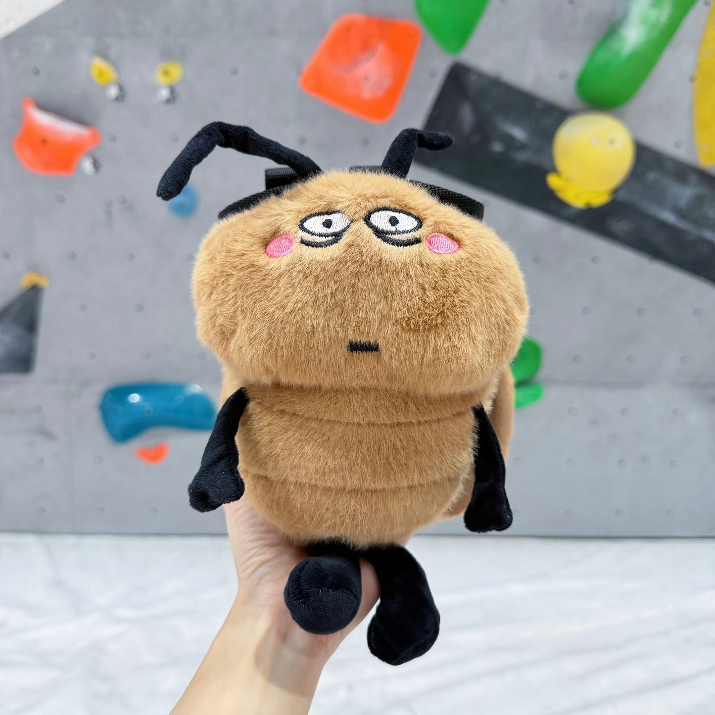Cockroach chalk bag