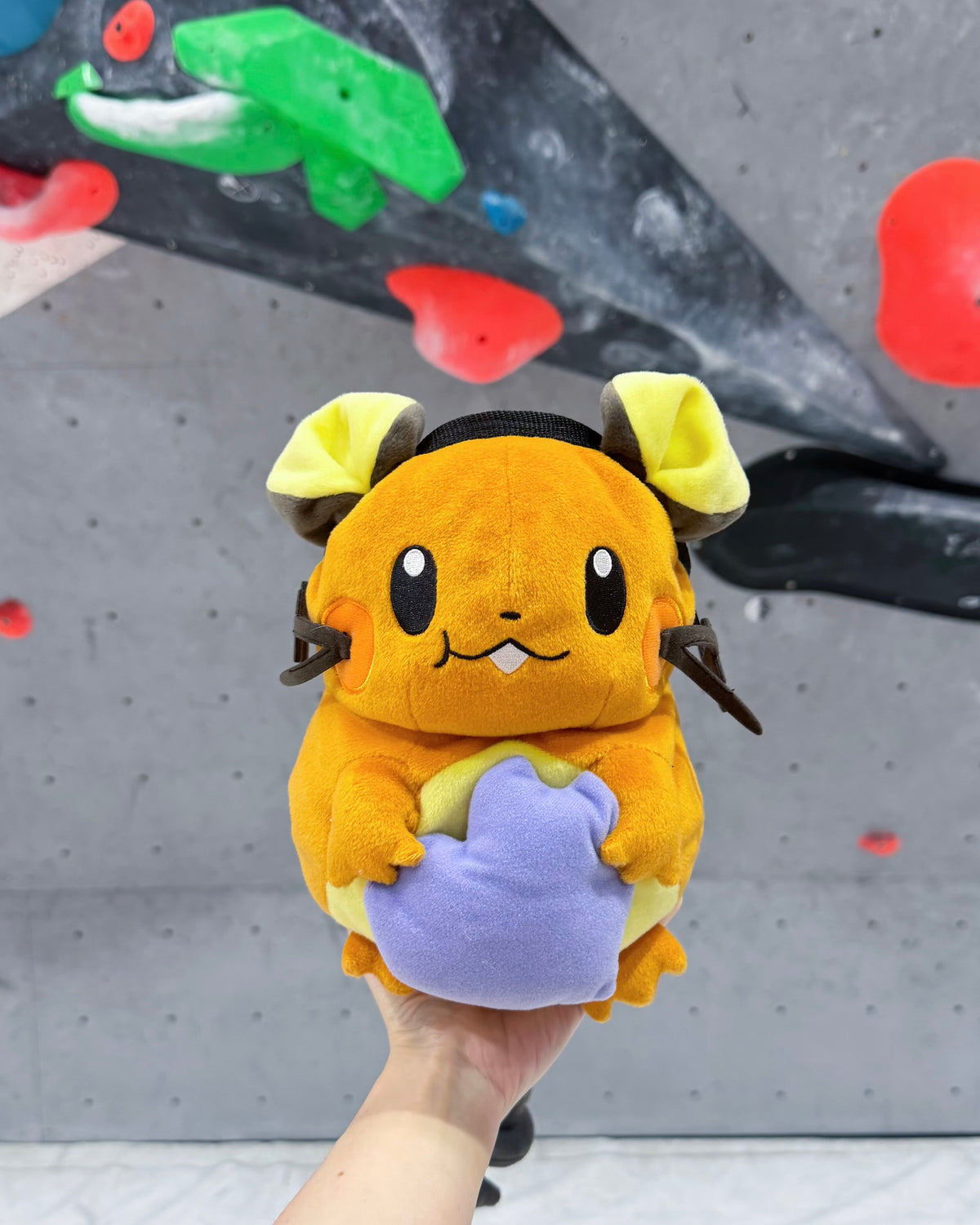 Dedenne chalk bag