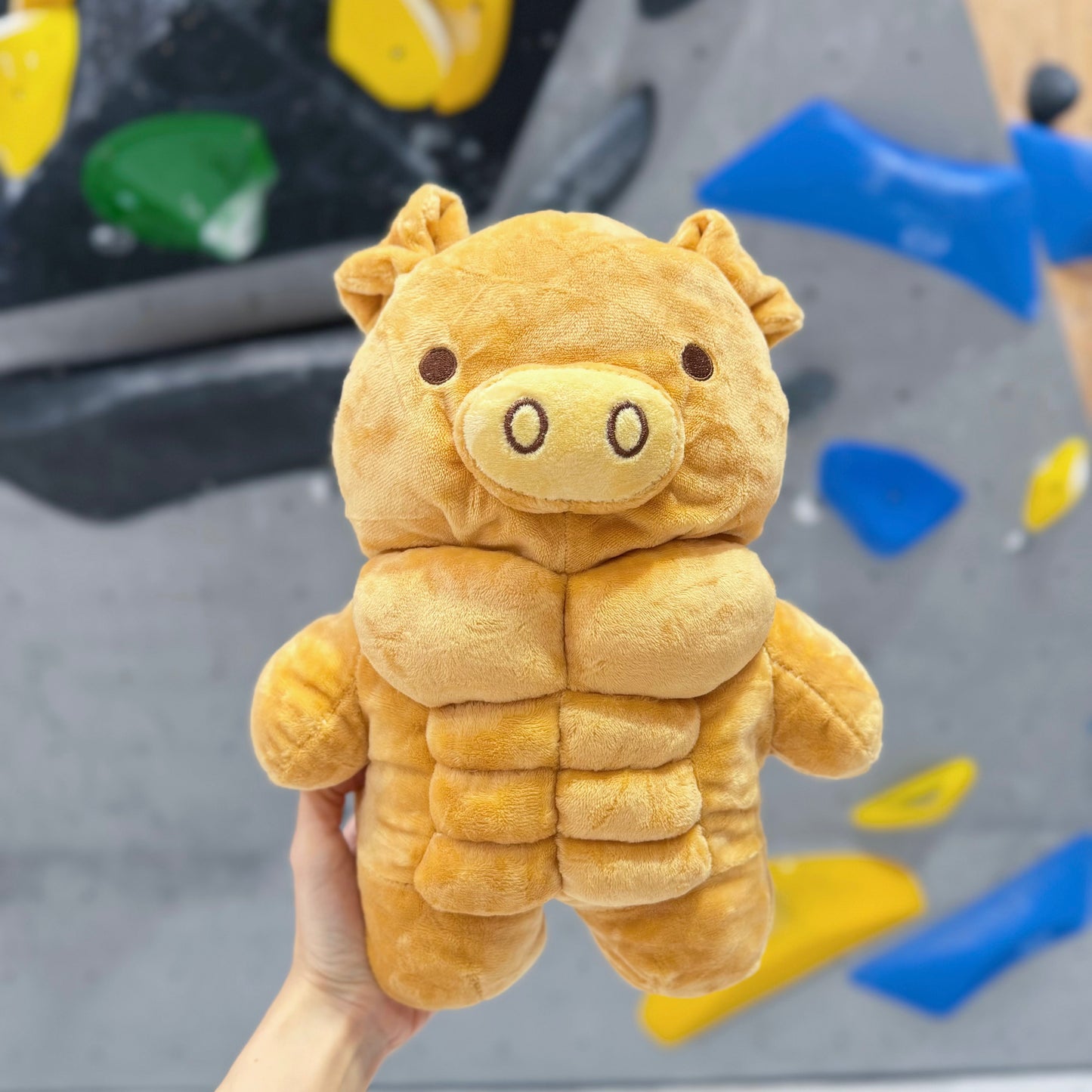 Muscle Pig chalk bag
