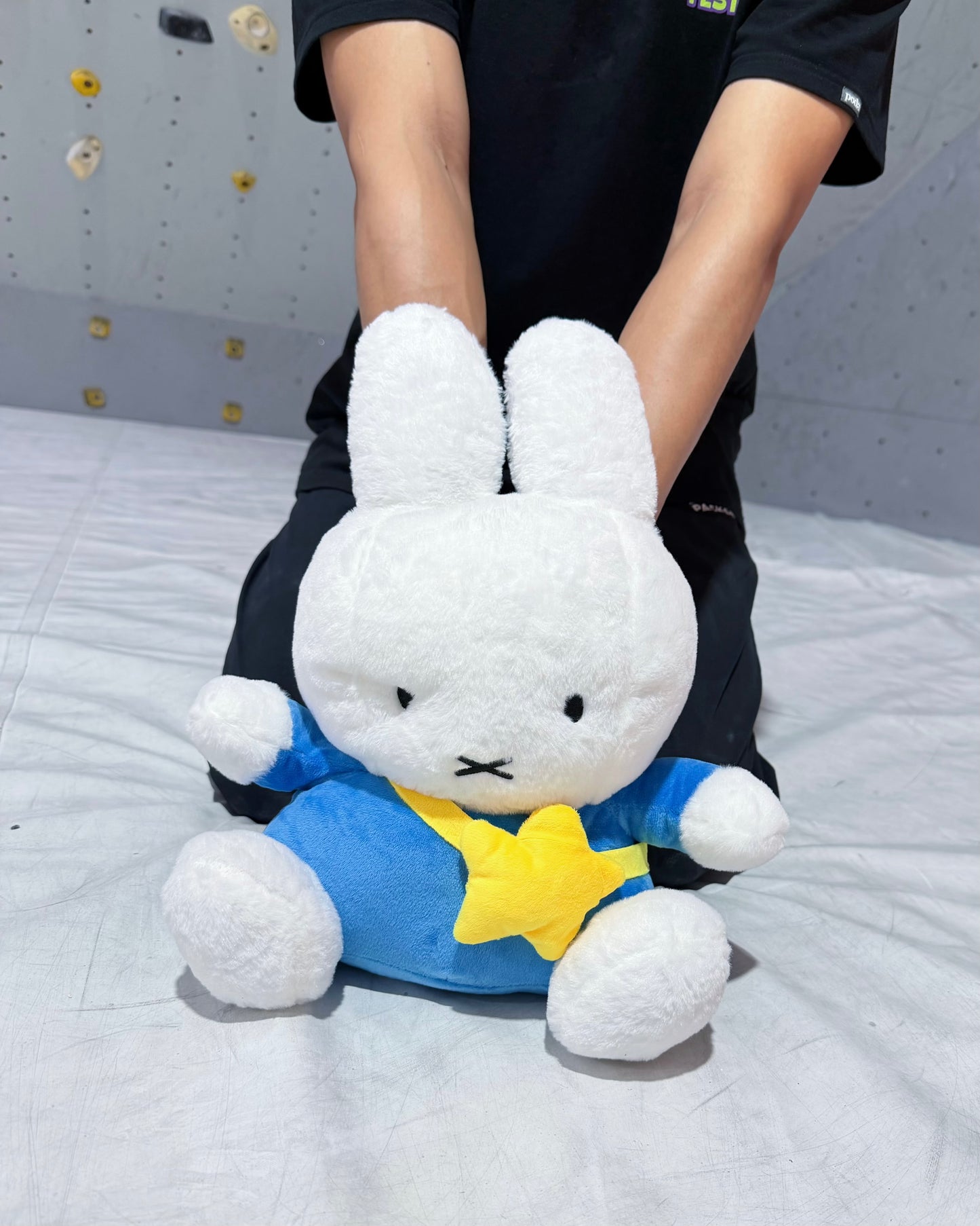Bunny Bouldering Bag