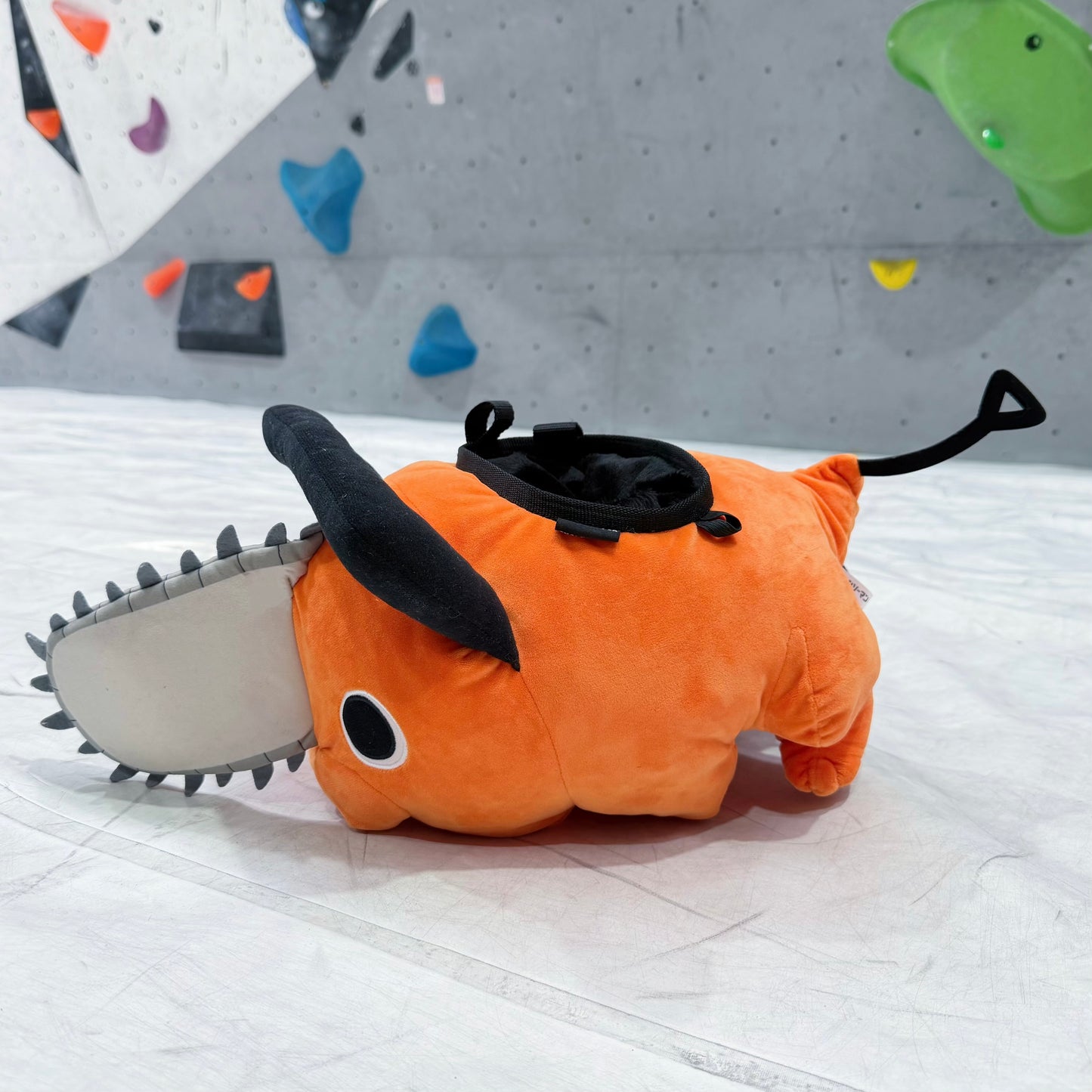 Pt bouldering bag