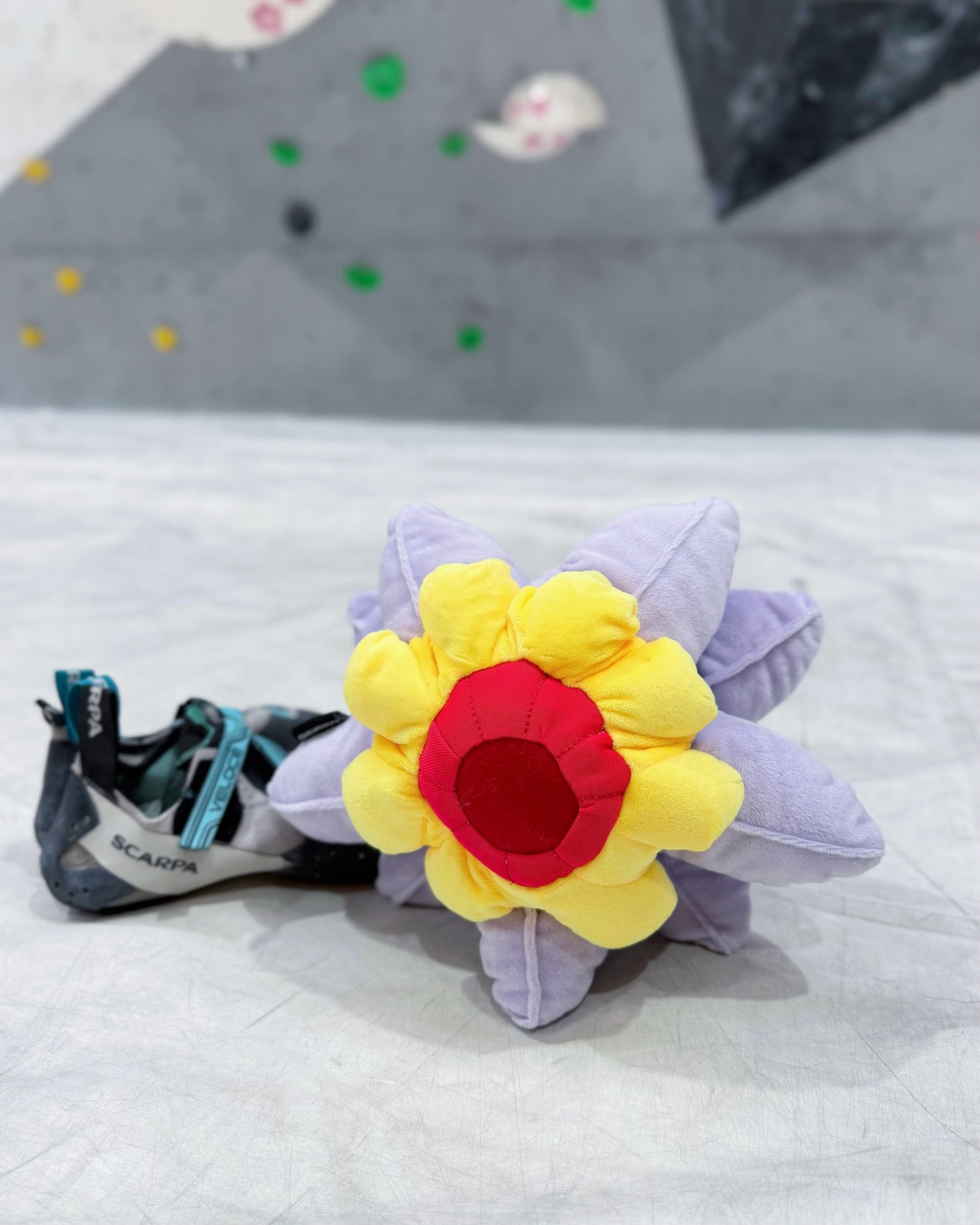 Starmie chalk bag