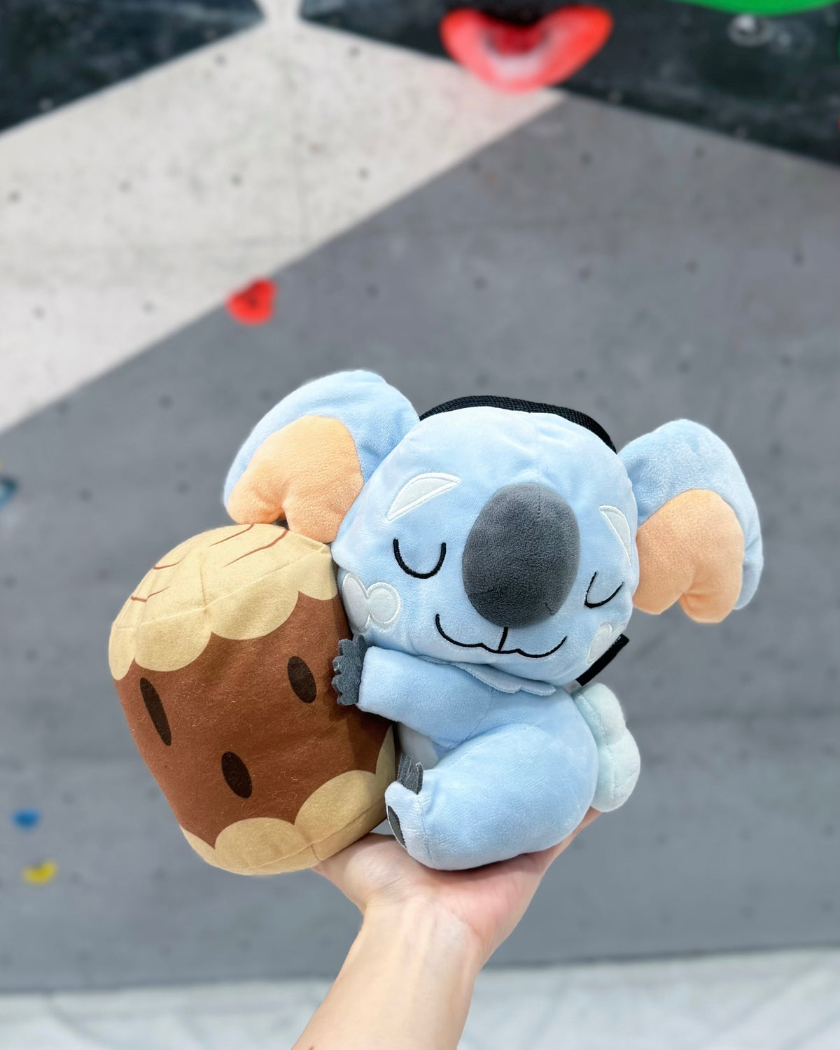 Komala chalk bag