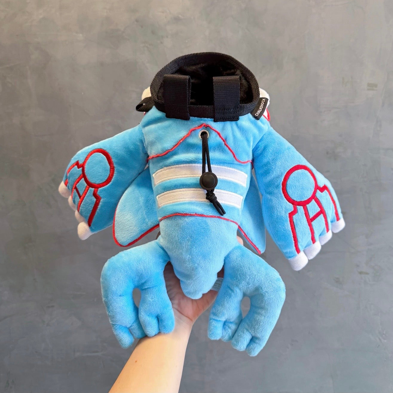 Kyogre chalk bag