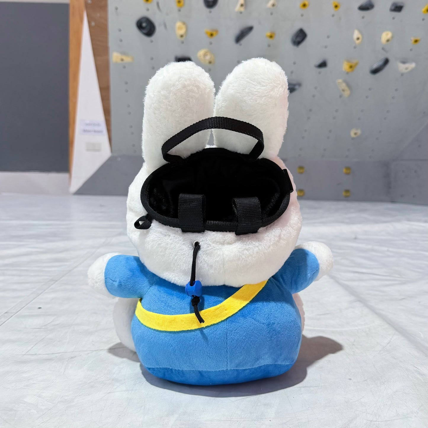 Bunny Bouldering Bag