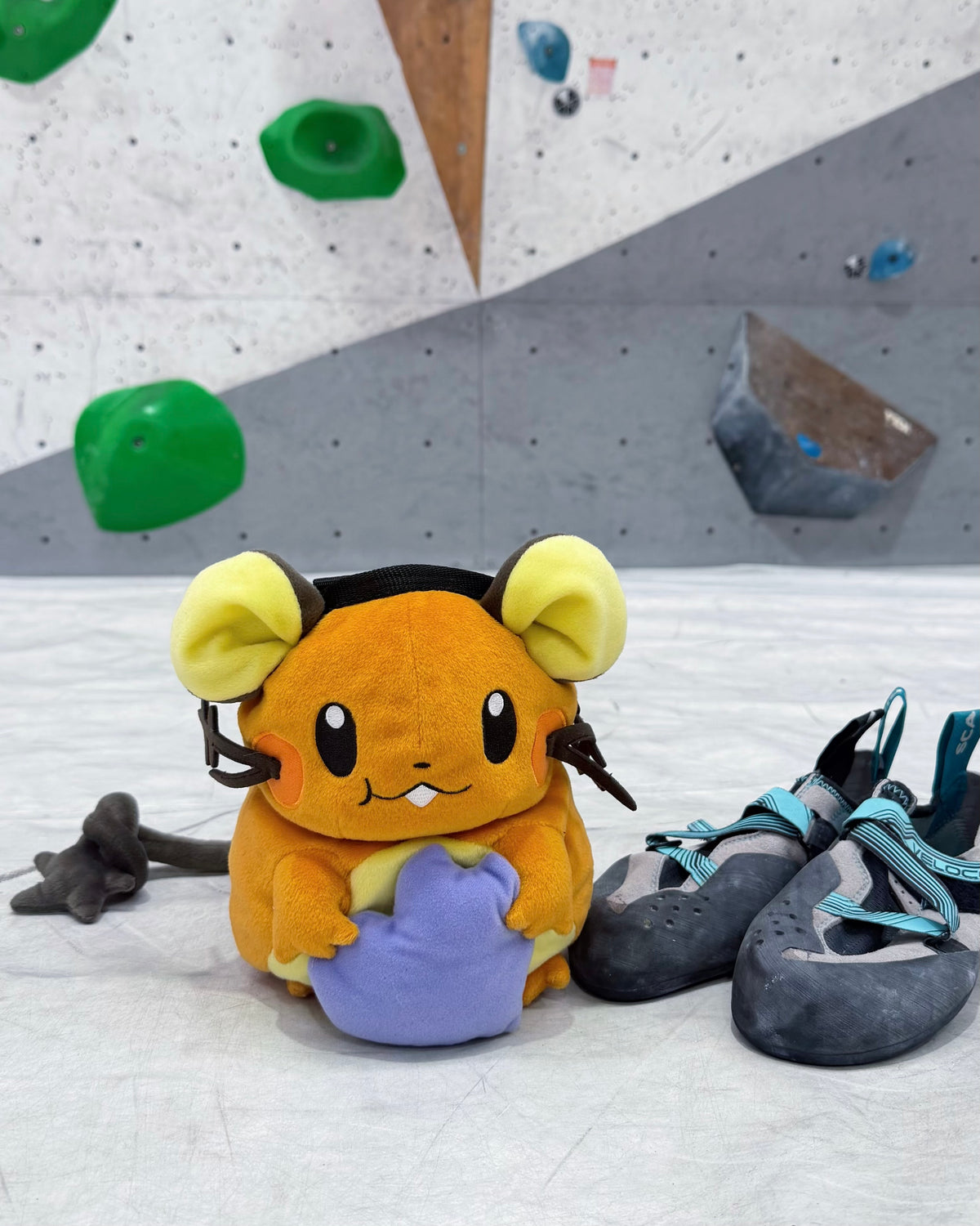 Dedenne chalk bag