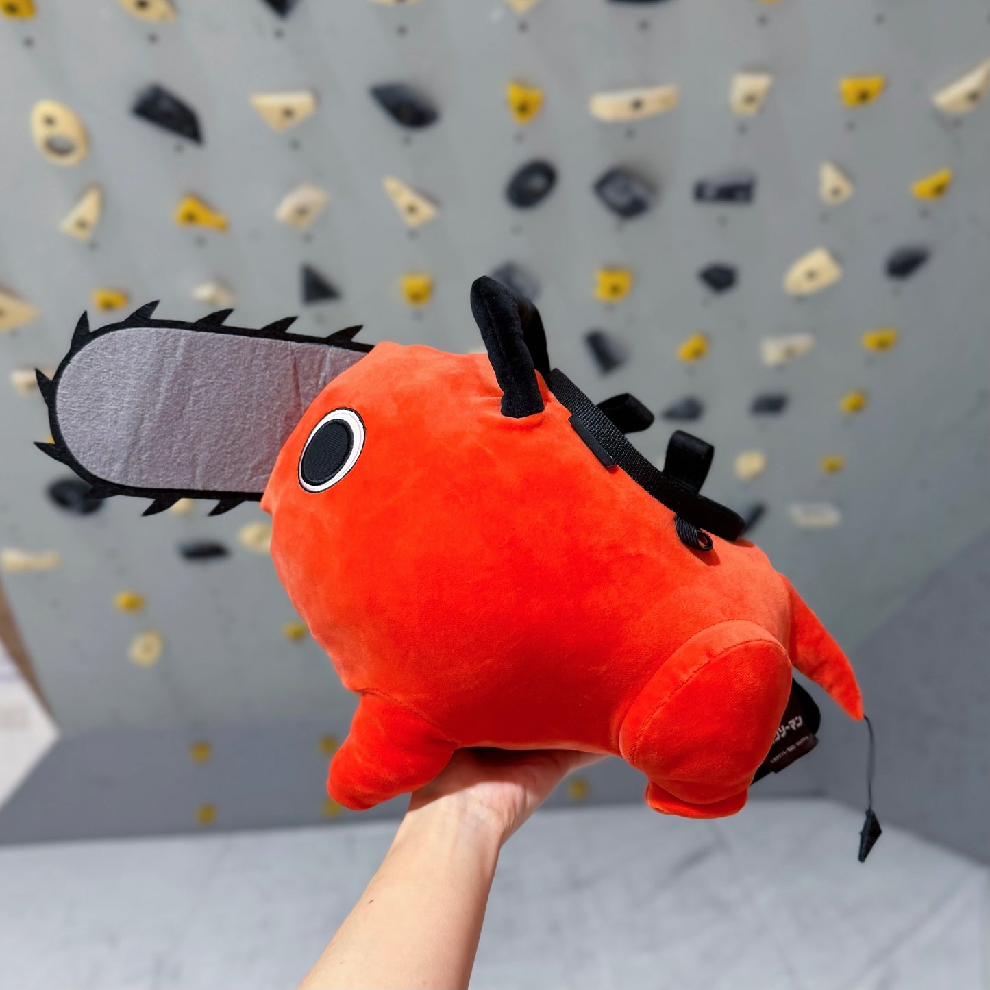 Pt bouldering bag : Limited Edition