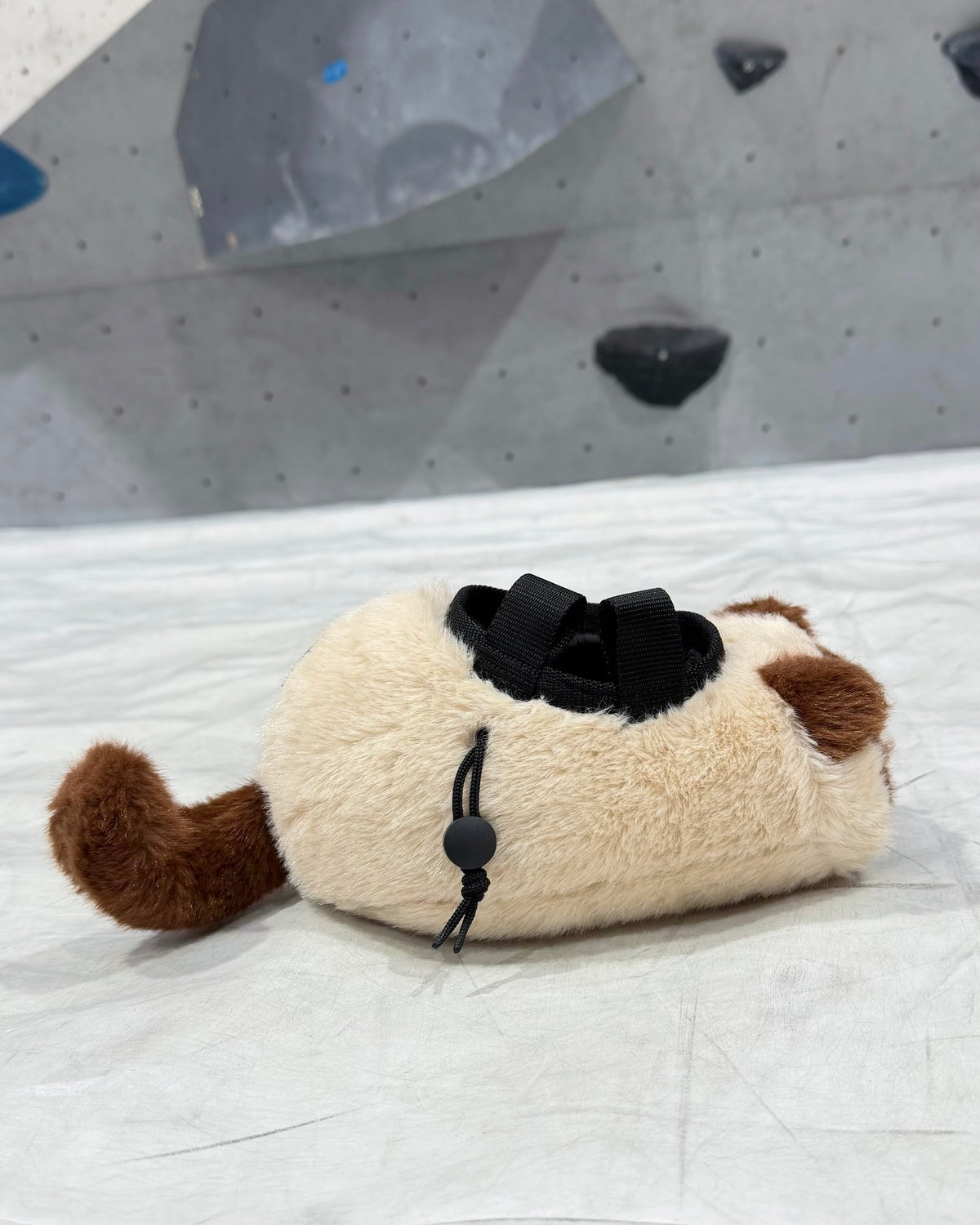 Siamese Cat chalk bag