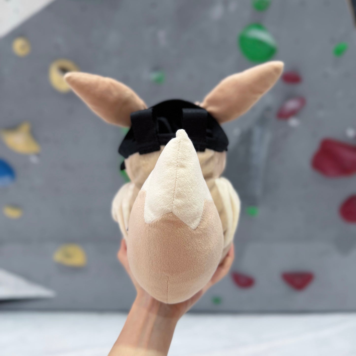 Eevee chalk bag