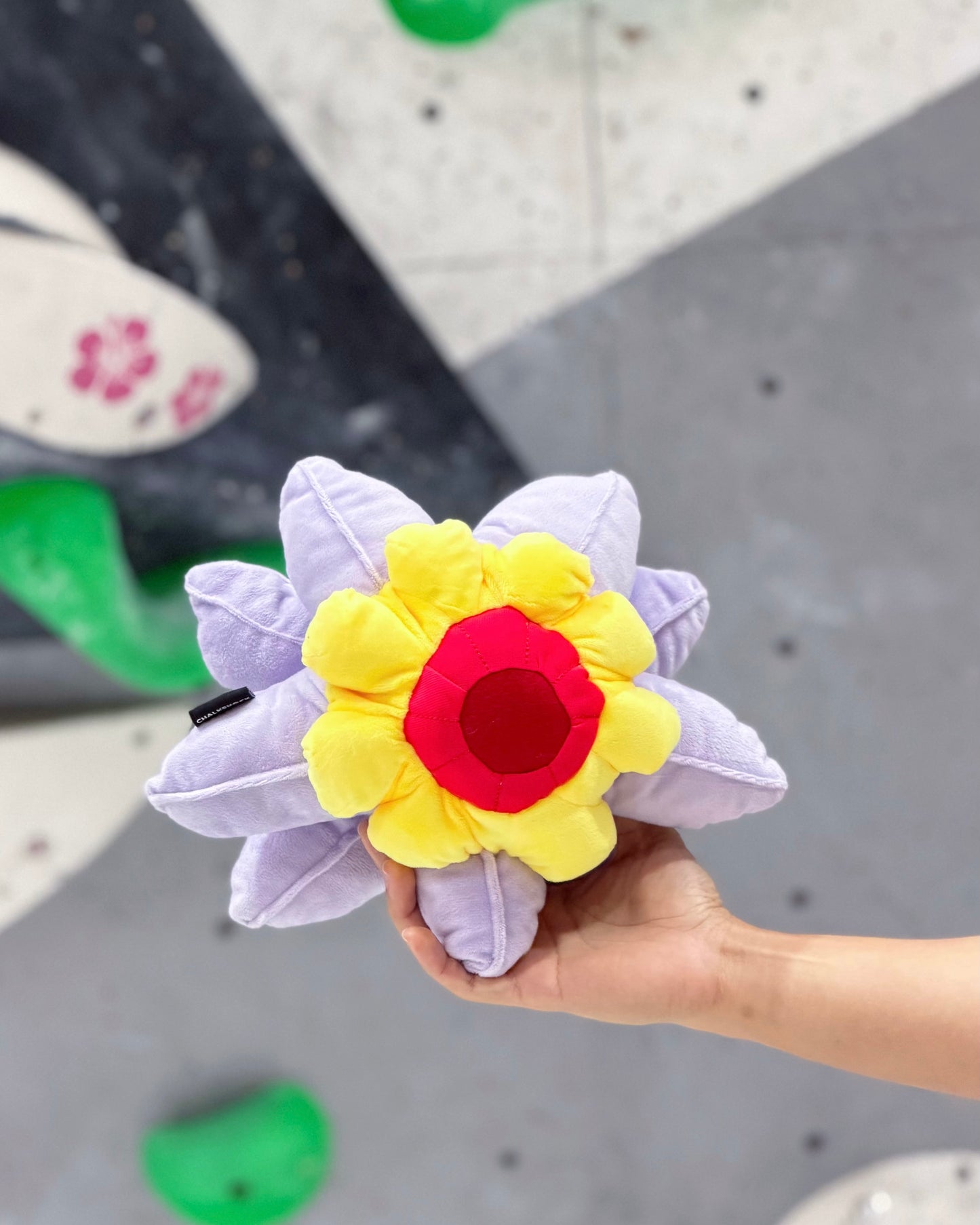 Starmie chalk bag